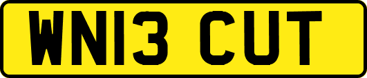 WN13CUT