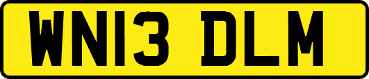WN13DLM