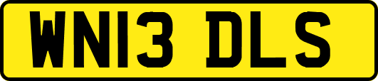 WN13DLS