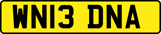 WN13DNA