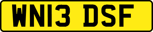 WN13DSF