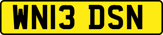 WN13DSN