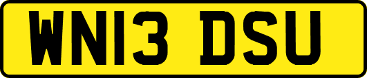 WN13DSU