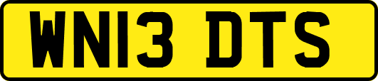 WN13DTS