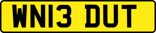 WN13DUT