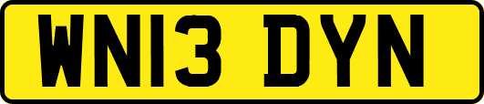 WN13DYN