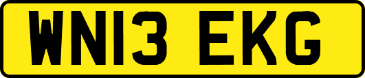 WN13EKG