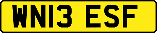 WN13ESF