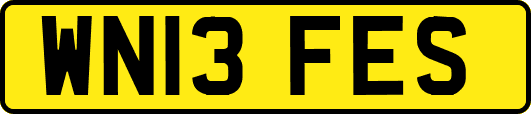 WN13FES
