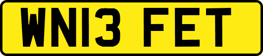 WN13FET