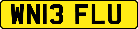 WN13FLU