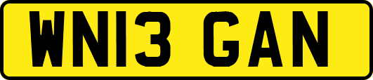WN13GAN