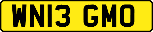 WN13GMO