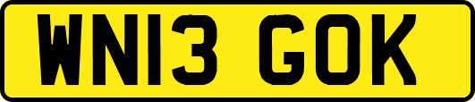 WN13GOK