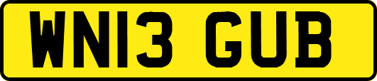 WN13GUB