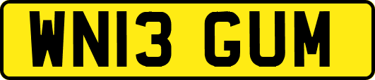 WN13GUM