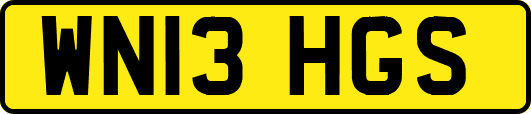 WN13HGS