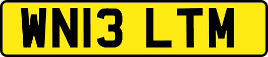 WN13LTM