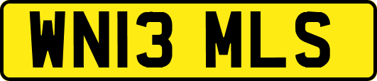 WN13MLS