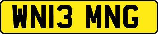 WN13MNG