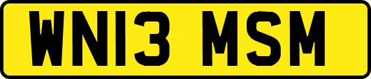 WN13MSM