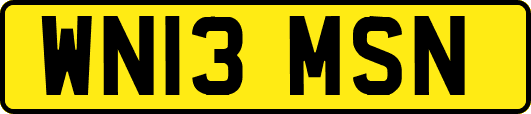 WN13MSN