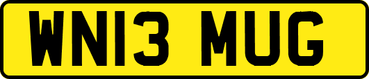 WN13MUG