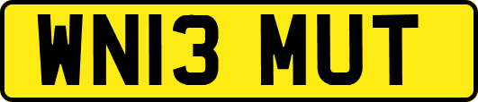 WN13MUT
