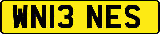 WN13NES