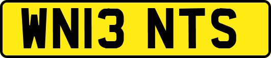 WN13NTS