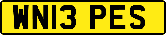WN13PES