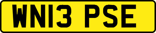 WN13PSE