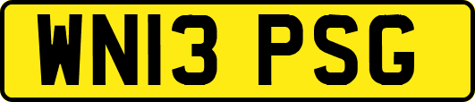 WN13PSG