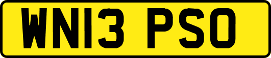 WN13PSO