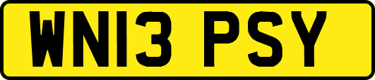 WN13PSY