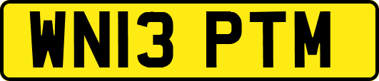 WN13PTM