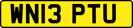 WN13PTU