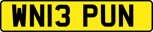 WN13PUN