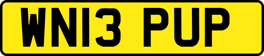 WN13PUP