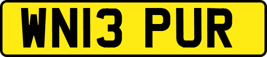 WN13PUR