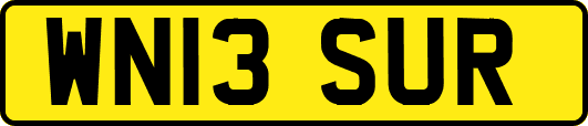 WN13SUR