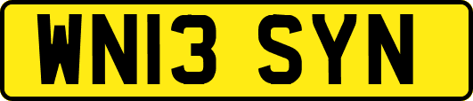 WN13SYN