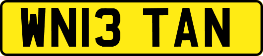 WN13TAN