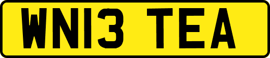 WN13TEA