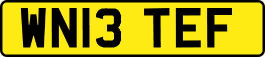 WN13TEF