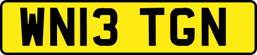 WN13TGN