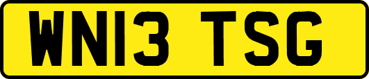 WN13TSG