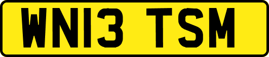 WN13TSM