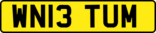 WN13TUM