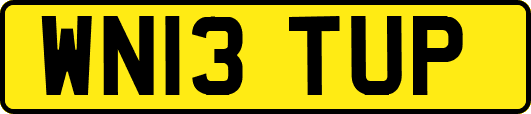 WN13TUP